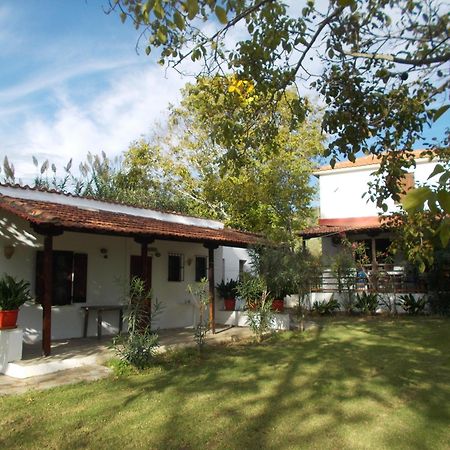 פוטיסטיקה Villa Mina מראה חיצוני תמונה